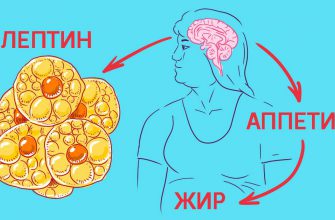 Как управлять голодом: 8 уверенных шагов к вечной стройности