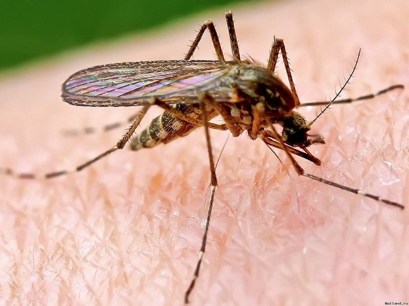 По совету старца мужчина опустил ноги в воду с содой. Через несколько минут средство сработало!