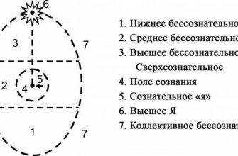 Психосинтез по Ассаджиоли: теория личности