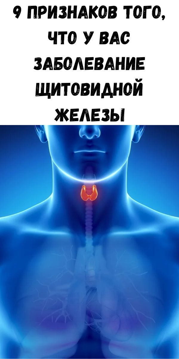 9 признаков того, что у вас заболевание щитовидной железы