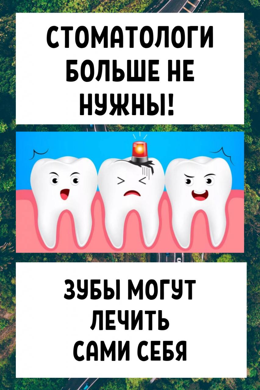 Стоматологи больше не нужны! Зубы могут лечить сами себя