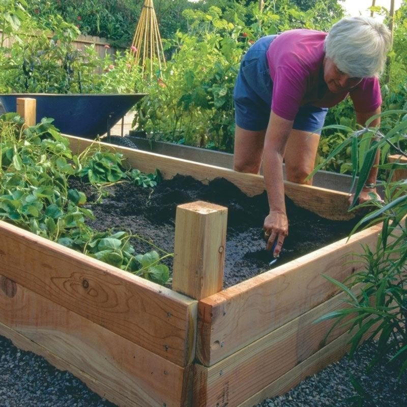 30 превосходных идей, как огородить грядки на садовом участке