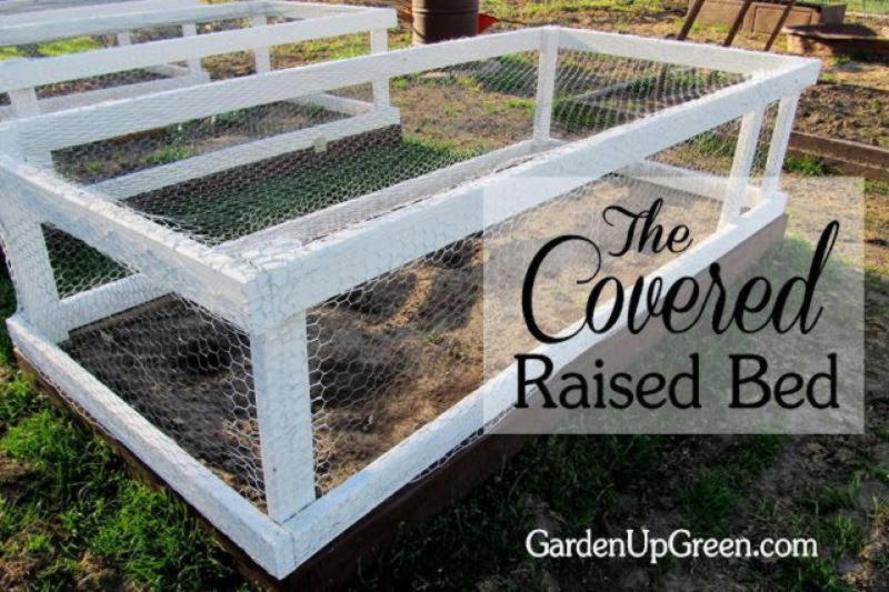 30 превосходных идей, как огородить грядки на садовом участке