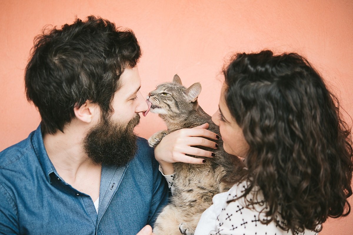 Cum arată pisicile că te iubesc - 11 „dragoste” în limbajul pisicilor