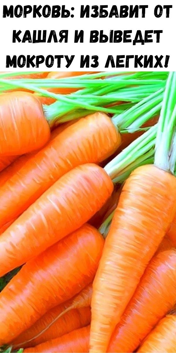Морковь: избавит от кашля и выведет мокроту из легких!