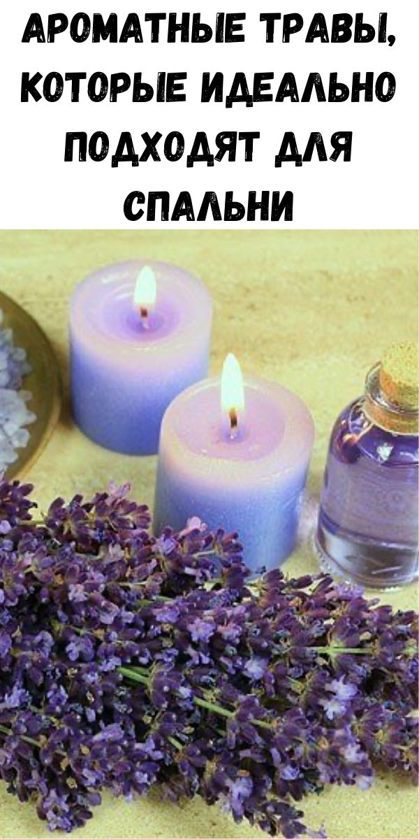 Ароматные травы, которые идеально подходят для спальни