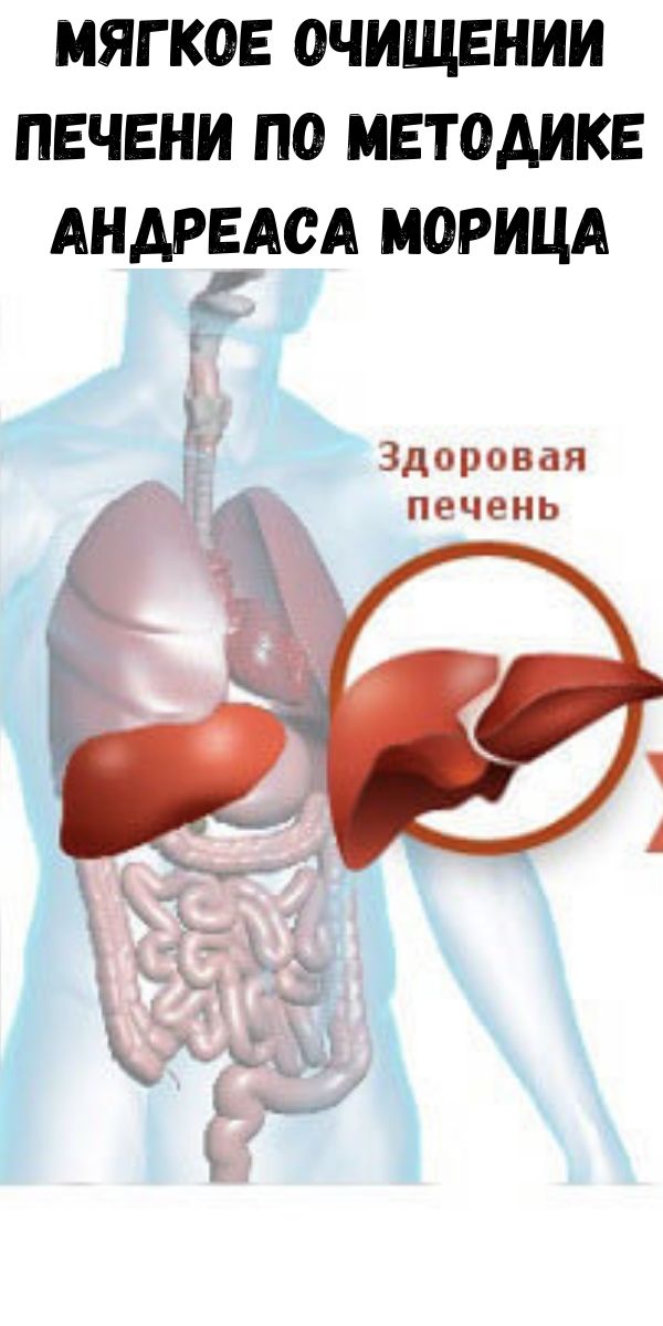 Андреас мориц удивительное очищение. Чистка печени по Морицу схема. Схема очищения печени по Морицу. Мориц очищение печени. Удивительное очищение печени Мориц.