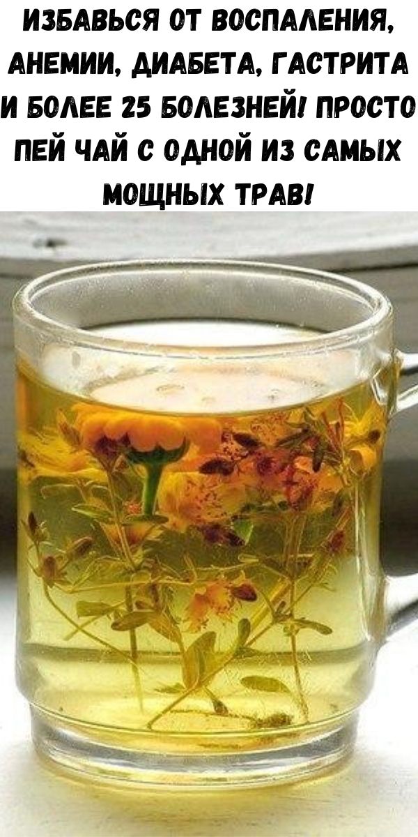 Избавься от воспаления, анемии, диабета, гастрита и более 25 болезней! Просто пей чай с одной из самых мощных трав!
