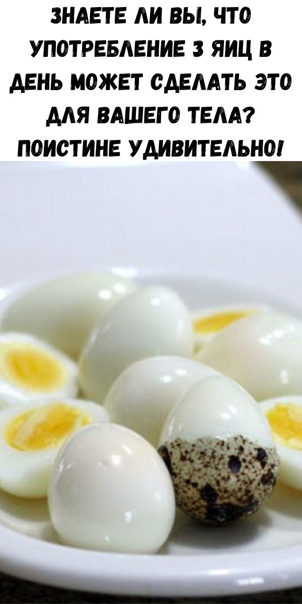 3 яйца в день можно. 2 Перепелиных яйца. Яйцо перепелиное. Вареное перепелиное яйцо. Перепелиные яйца отварные.
