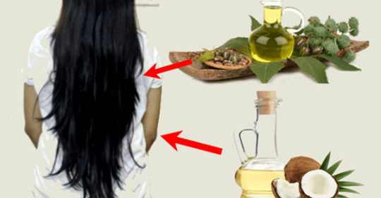Как использовать касторовое и кокосовое масло для быстрого роста волос