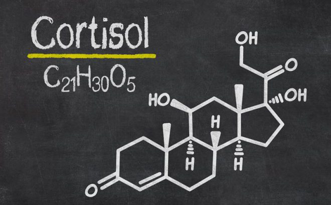 7 путей уменьшения уровня кортизола в вашем теле
