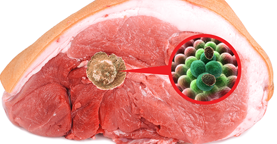 Исследователи показывают, как мясо, наполненное раком и другими болезнями, все еще продается