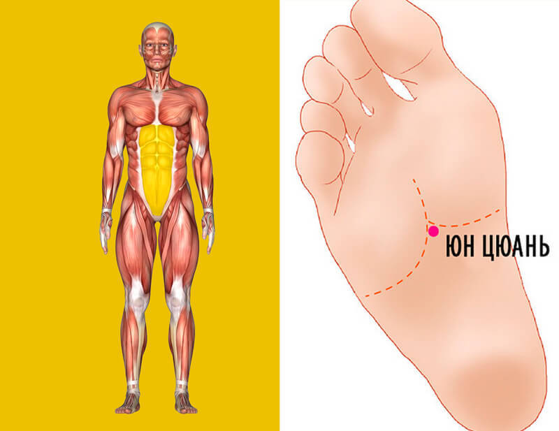 админ сталин гулаг. двухсторонние клеевые точки. Wifi super. супер и точка. точки на ушной раковине.