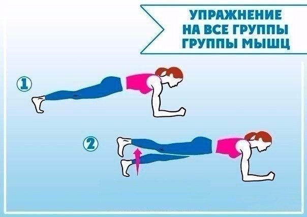 Упражнения для всего тела