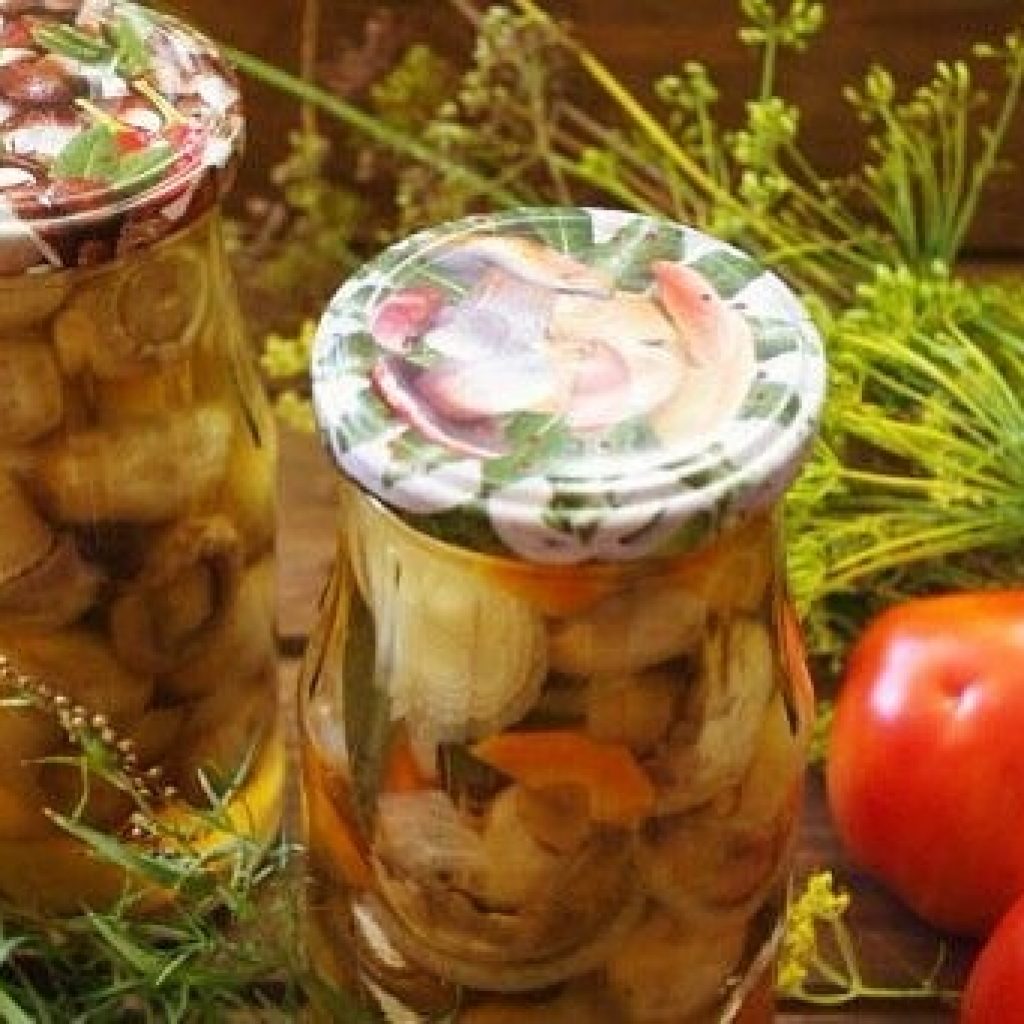 Черновик Черновик