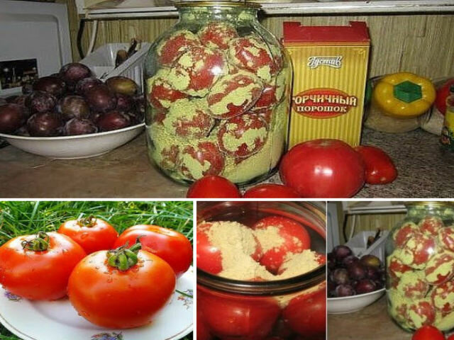 ВОЛШЕБНЫЙ БАЛЬЗАМ ДЛЯ РОСТА ПОМИДОРОВ