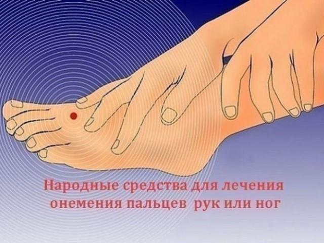 Черновик Черновик