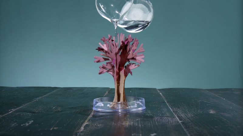 Поразительно, что эта приправа делает с деньгами. Супер-эксперименты!