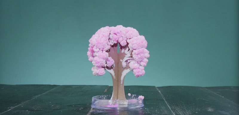 Поразительно, что эта приправа делает с деньгами. Супер-эксперименты!