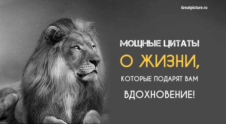 Мощные цитаты о жизни, которые подарят вам вдохновение! Мощные цитаты о жизни, которые подарят вам вдохновение!