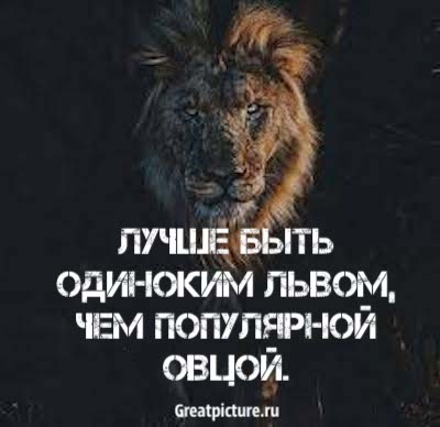 Мощные цитаты о жизни, которые подарят вам вдохновение! Мощные цитаты о жизни, которые подарят вам вдохновение!