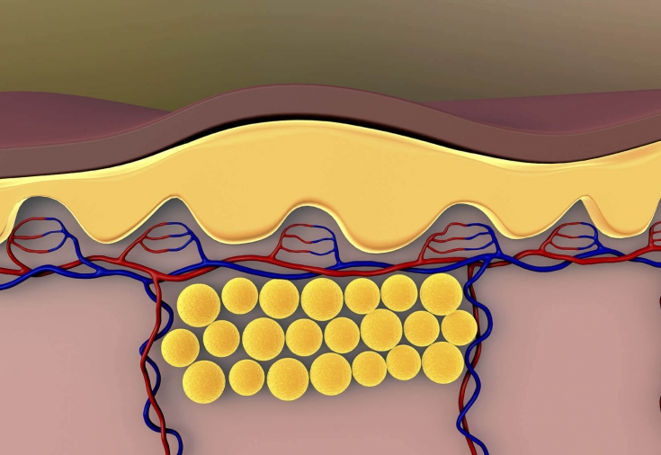 Как восстановить щитовидную железу, чтобы сжигать жир и активировать метаболизм! Как восстановить щитовидную железу, чтобы сжигать жир и активировать метаболизм!
