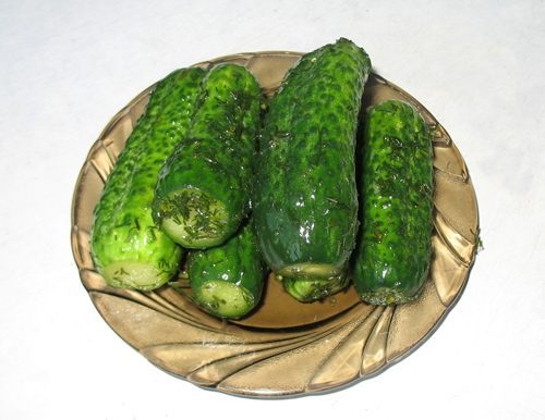 МАЛОСОЛЬНЫЕ ОГУРЧИКИ БЕЗ РАССОЛА МАЛОСОЛЬНЫЕ ОГУРЧИКИ БЕЗ РАССОЛА