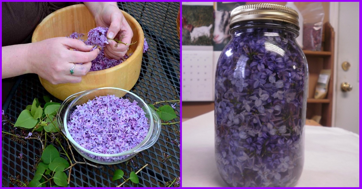 ЗАПОЛНИТЕ БАНКУ РАСТИТЕЛЬНЫМ МАСЛОМ И ФИОЛЕТОВЫМИ ЦВЕТКАМИ….