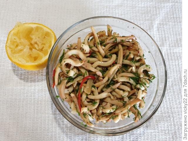 Быстрые маринованные кальмары