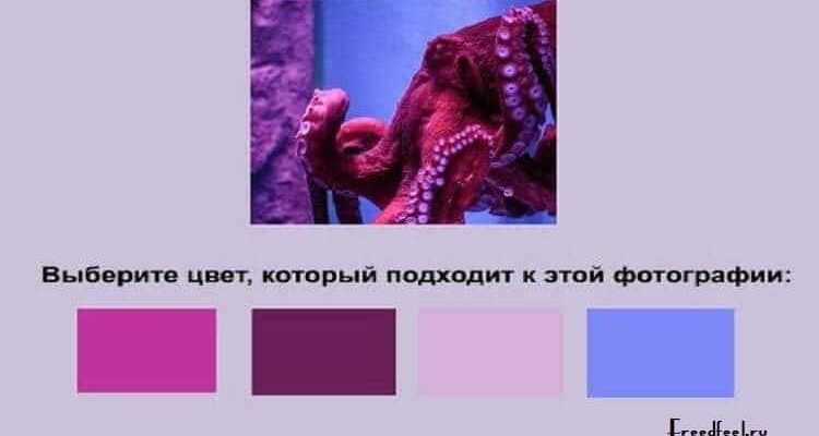 Тест на интуицию покажет, есть ли у вас необычные способности Тест на интуицию покажет, есть ли у вас необычные способности