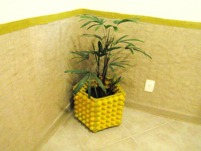 Куда деть коробки от яиц? Только не вздумайте их выбрасывать