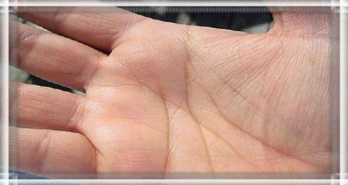 Значение буквы «М» на ладони