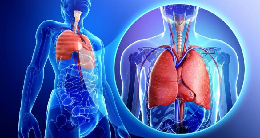 Очистить легкие можно всего за 3 дня!