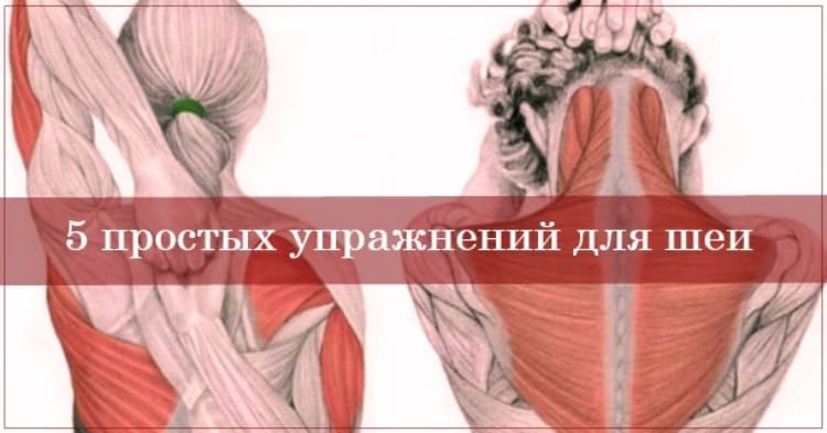 Упражнения для шеи: Освобождают от зажимов и нормализуют давление