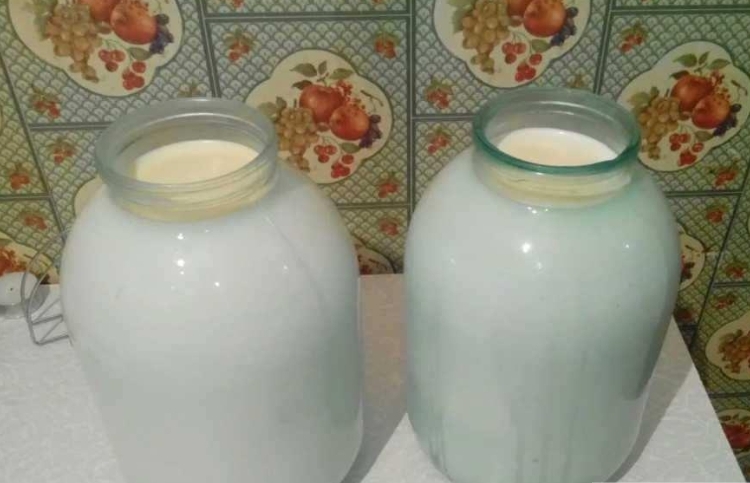 Черновик Черновик