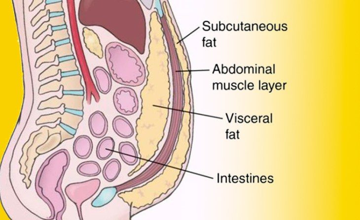 5 случаев, когда живот появляется не от лишнего веса 5 случаев, когда живот появляется не от лишнего веса