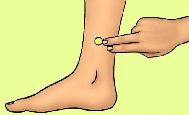 5 ТОЧЕК НА ТЕЛЕ, КОТОРЫЕ ИЗБАВЯТ ВАС ОТ ЛИШНЕГО ВЕСА