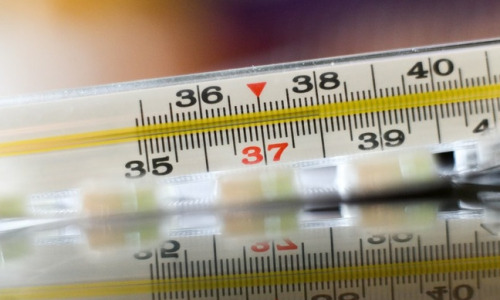 Черновик Черновик