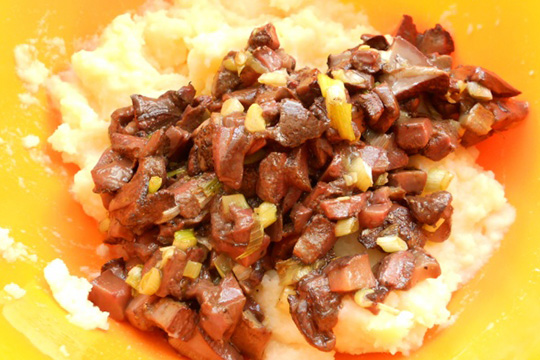 Черновик Черновик