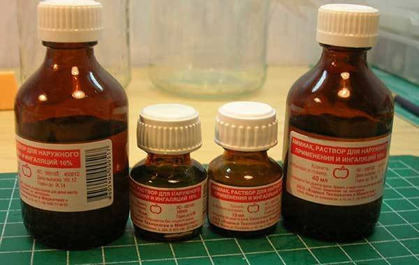 ПОДКОРМИТЕ ЛУЧОК НАШАТЫРЕМ