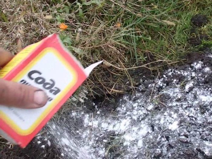 СОДА НА ОГОРОДЕ И ДР.ПОЛЕЗНЫЕ СОВЕТЫ ДАЧНИКУ