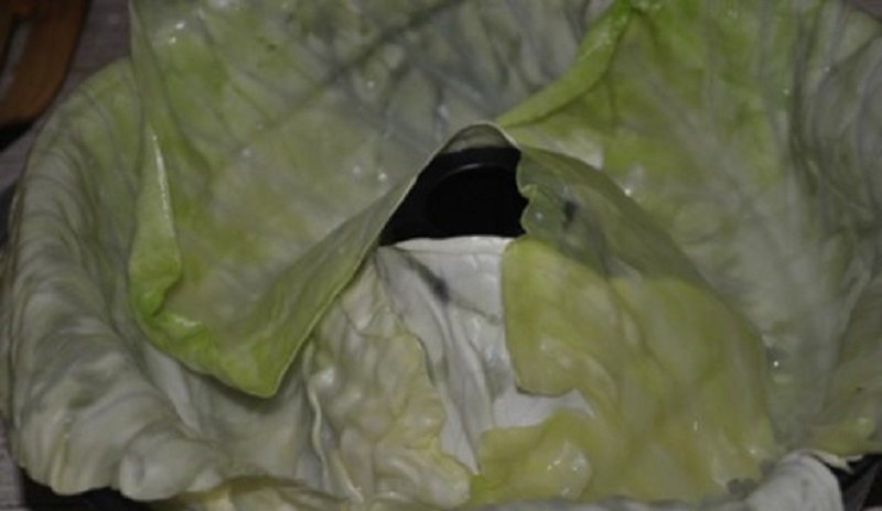 Ленивый голубец из молодой капусты: отличное весеннее блюдо! Рецепт на вес золота Ленивый голубец из молодой капусты: отличное весеннее блюдо! Рецепт на вес золота