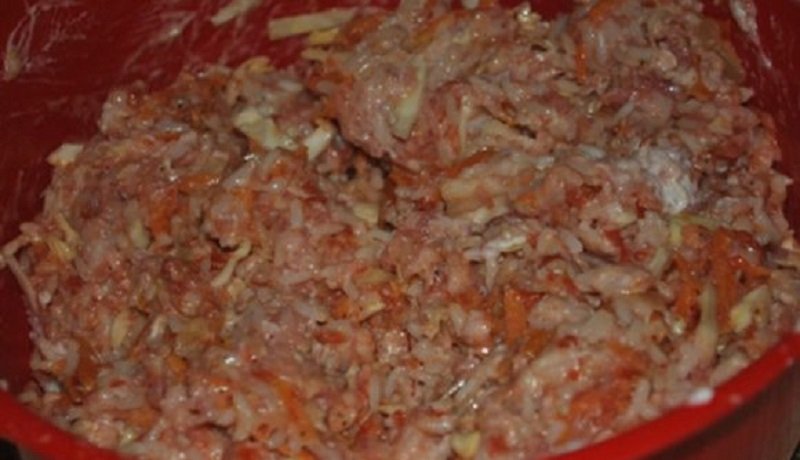 Ленивый голубец из молодой капусты: отличное весеннее блюдо! Рецепт на вес золота Ленивый голубец из молодой капусты: отличное весеннее блюдо! Рецепт на вес золота