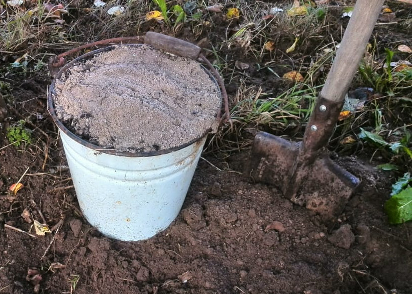 Белорусский способ выращивания огурцов в открытом грунте