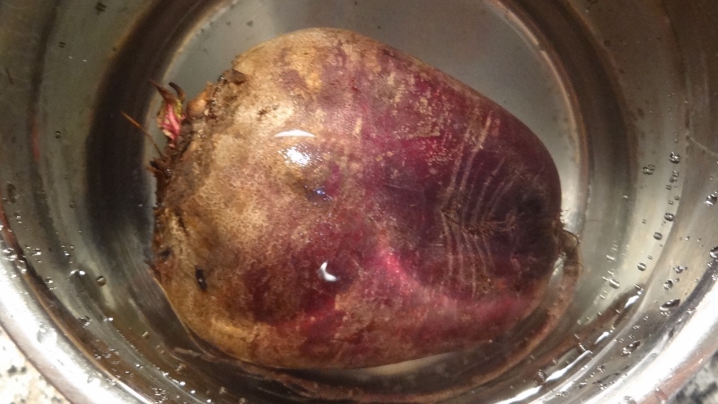 Как быстро сварить свеклу