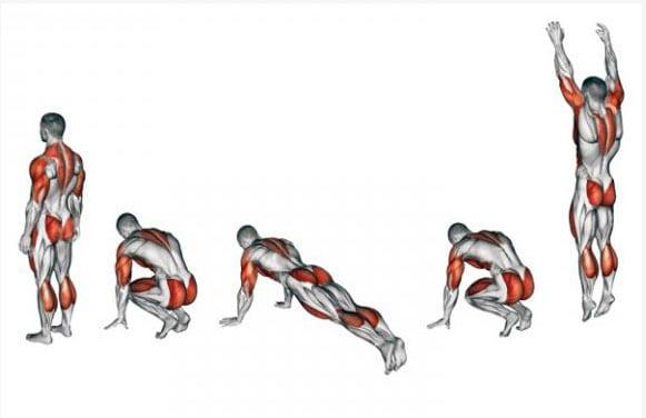 Как правильно делать упражнение «бурпи» (берпи)