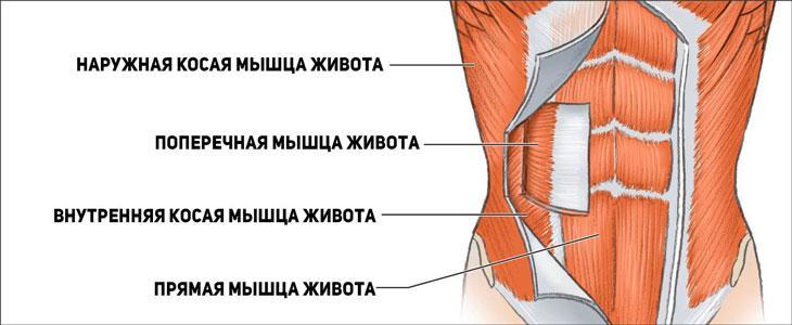 Как делать вакуум живота для похудения: отзывы, результаты и техника