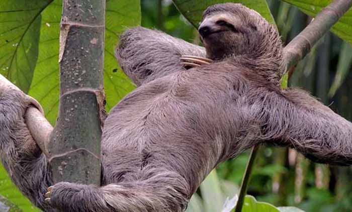 9 способов провести приятно время и помочь метаболизму