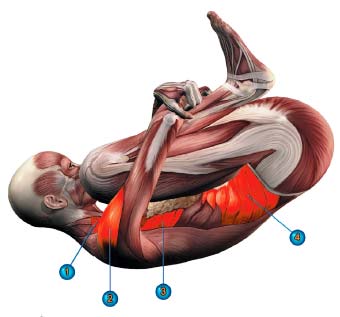 10 поз йоги, чтобы убрать жир на животе!